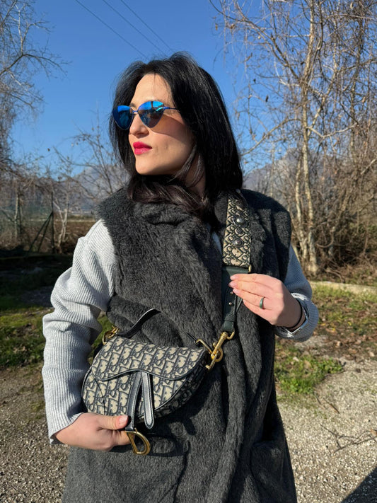 Borsa Saddle Dior