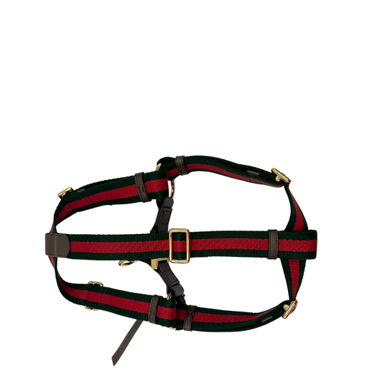 Pettorina Gucci TG. L