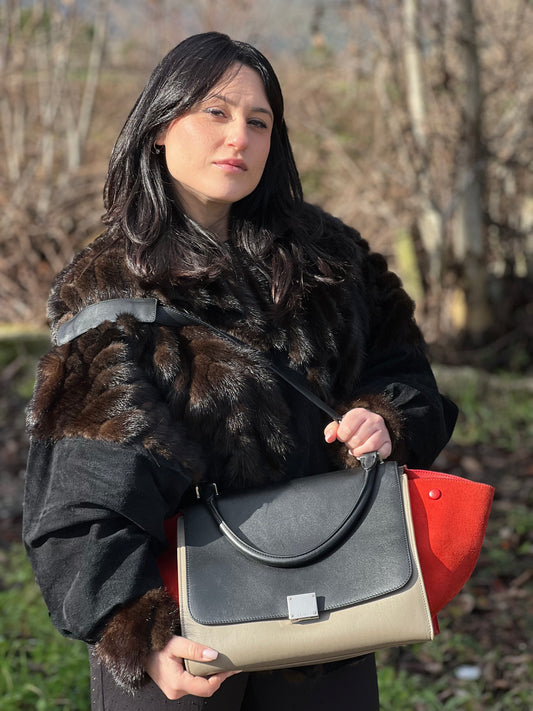 Borsa Trapeze Céline in pelle multicolore