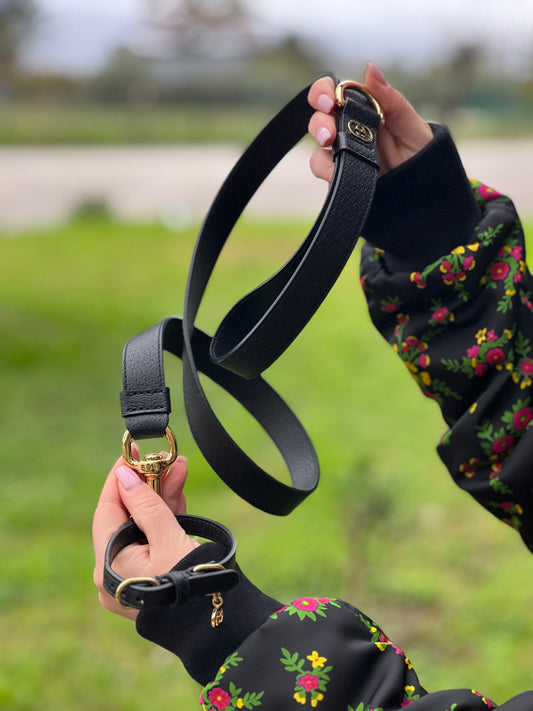 Collare e guinzaglio Gucci