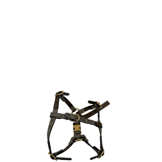 Pettorina Gucci TG. XS