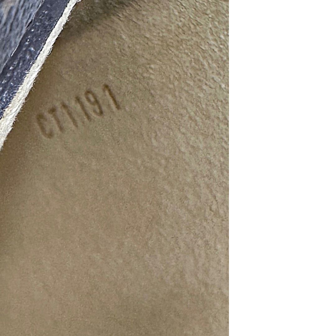 Cover Ipad Louis Vuitton