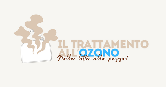 L'Importanza dell'Igienizzazione: Il Trattamento all'Ozono per le Nostre Borse Usate e Vintage
