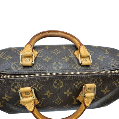 Speedy 30 Louis Vuitton personalizzato