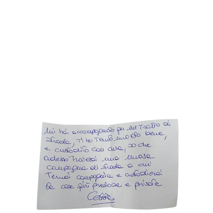 Borsa Fendi Spy Zucca