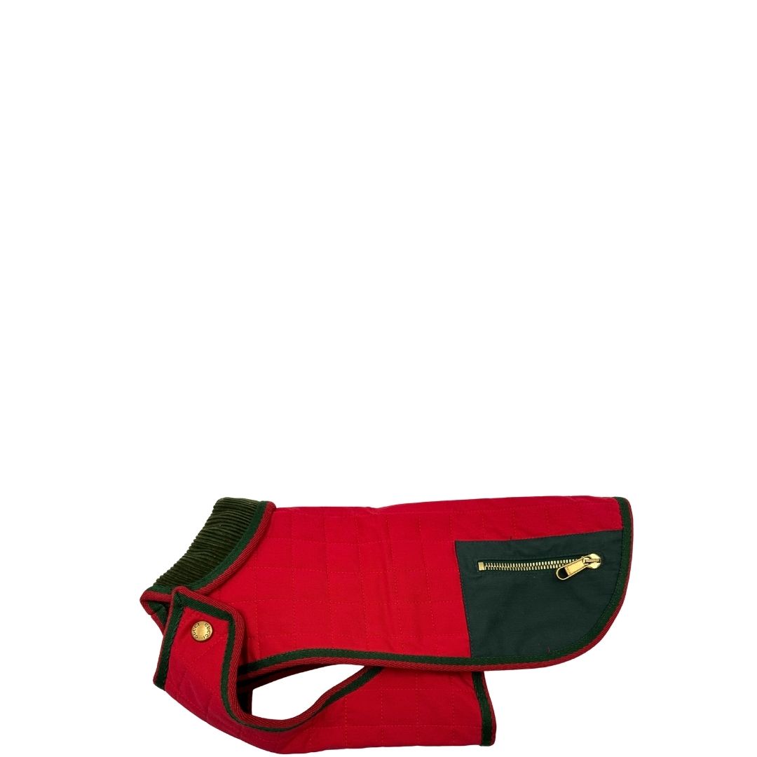 Cappotto Gucci per cani tg. xs – foto 1 di 7
