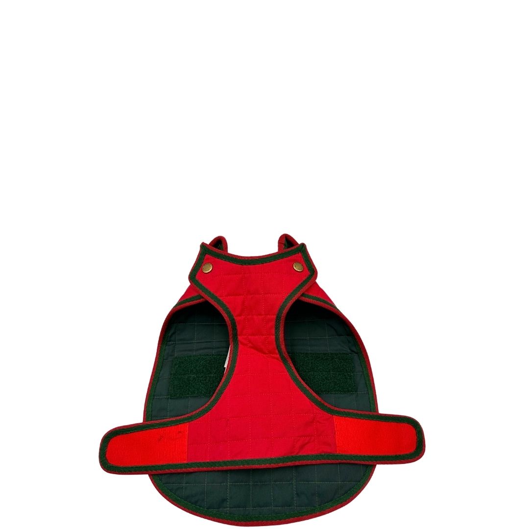 Cappotto Gucci per cani tg. xs