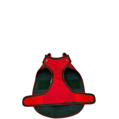 Cappotto Gucci per cani tg. xs