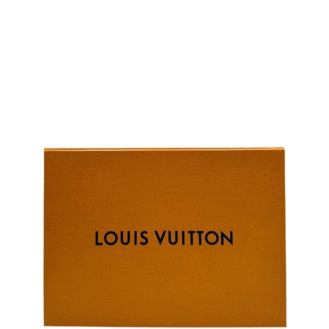 Scatola di una borsa Louis Vuitton Métis in canvas marrone monogram con dettagli in vacchetta naturale e parti metalliche dorate. Munita di un manico singolo e una tracolla regolabile e amovibile.