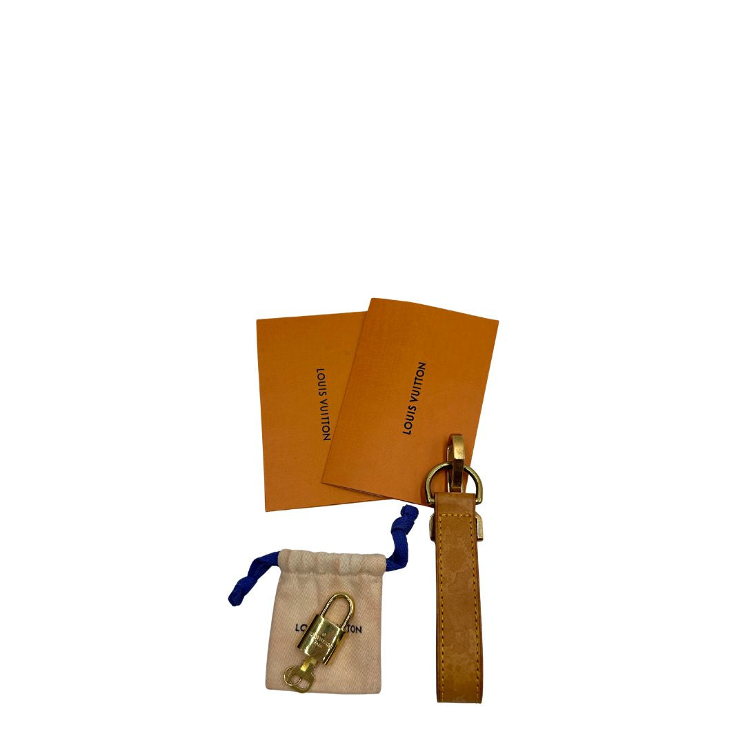 Trolley Louis Vuitton Pegase 55 Monogram