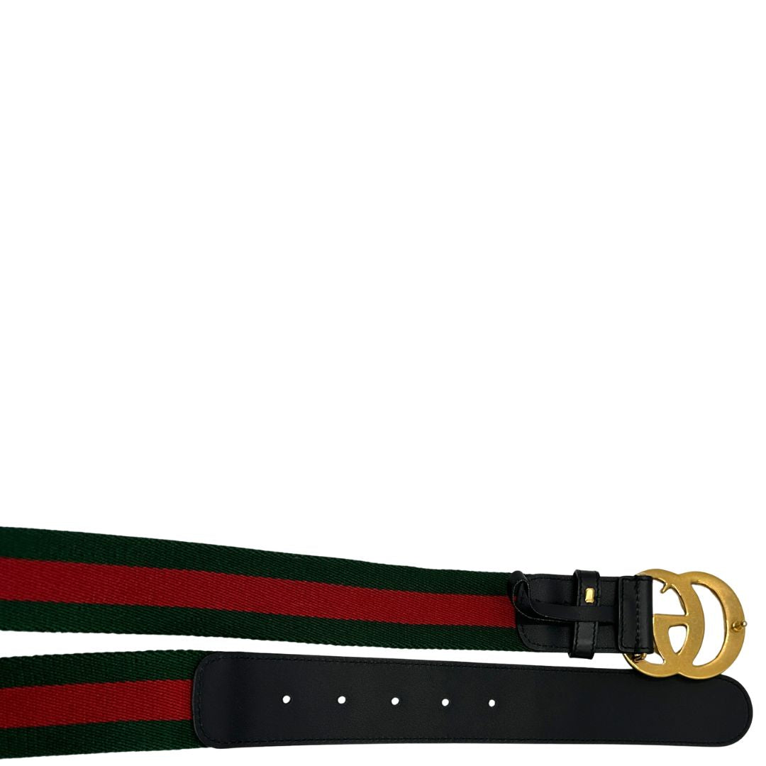Cintura Gucci in tessuto Web
