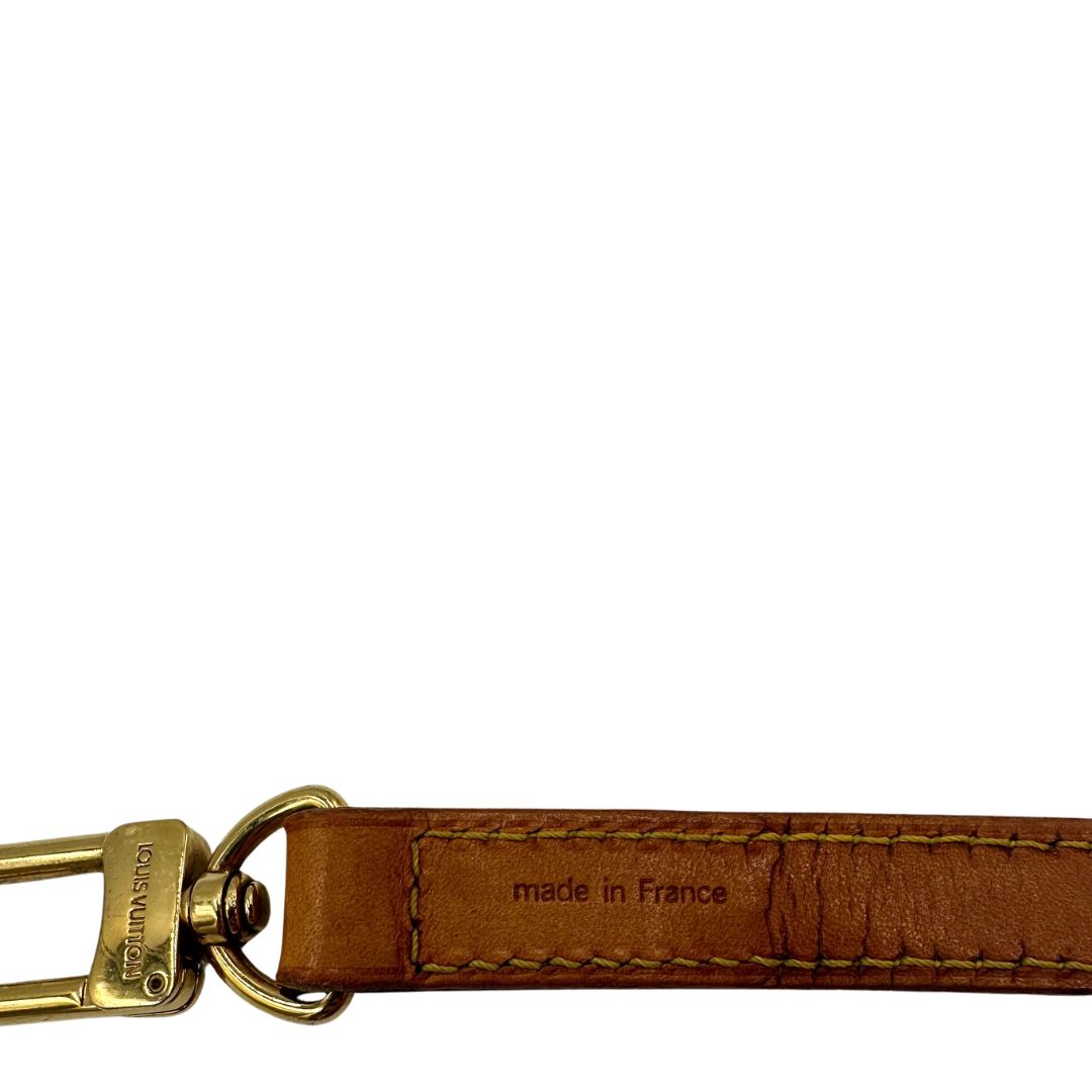 Accessorio tracolla Louis Vuitton