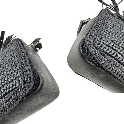 Camera bag Saint Laurent rafia