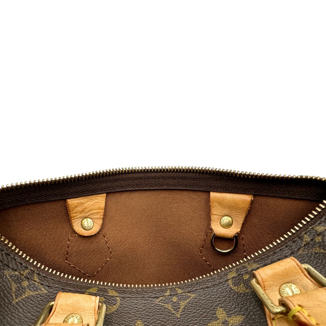 Speedy 25 Louis Vuitton