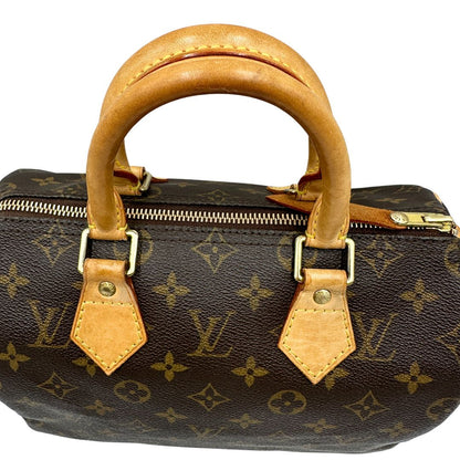 Speedy 25 Louis Vuitton