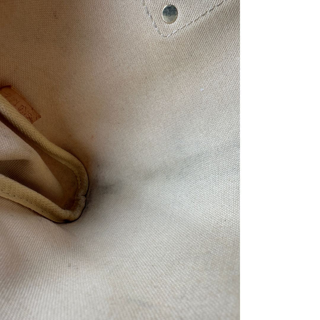 Eva Damier Azur Louis Vuitton