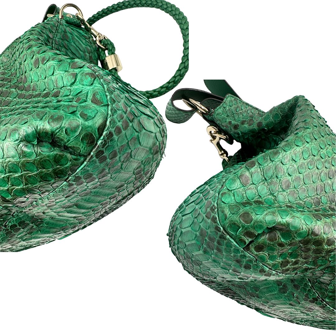 Hobo Gucci G Wave Python