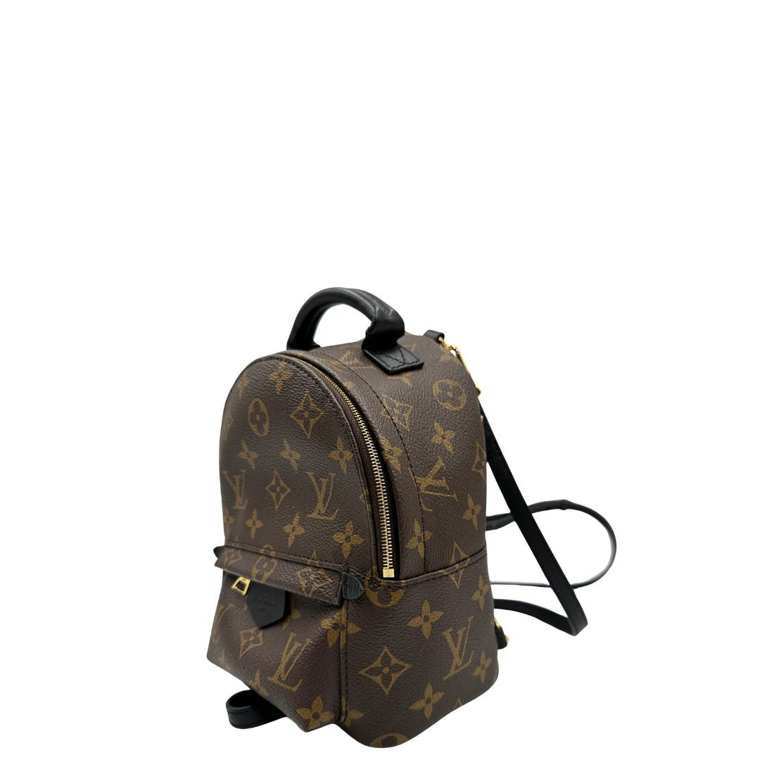 Zaino Palm Springs mini Louis Vuitton in pelle marrone