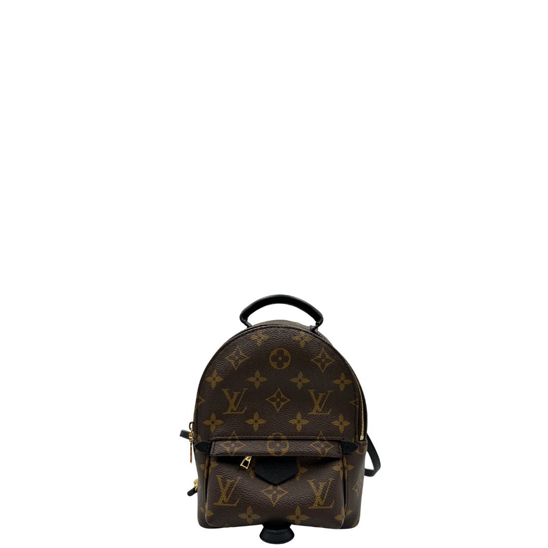 Zaino Palm Springs mini Louis Vuitton in pelle marrone