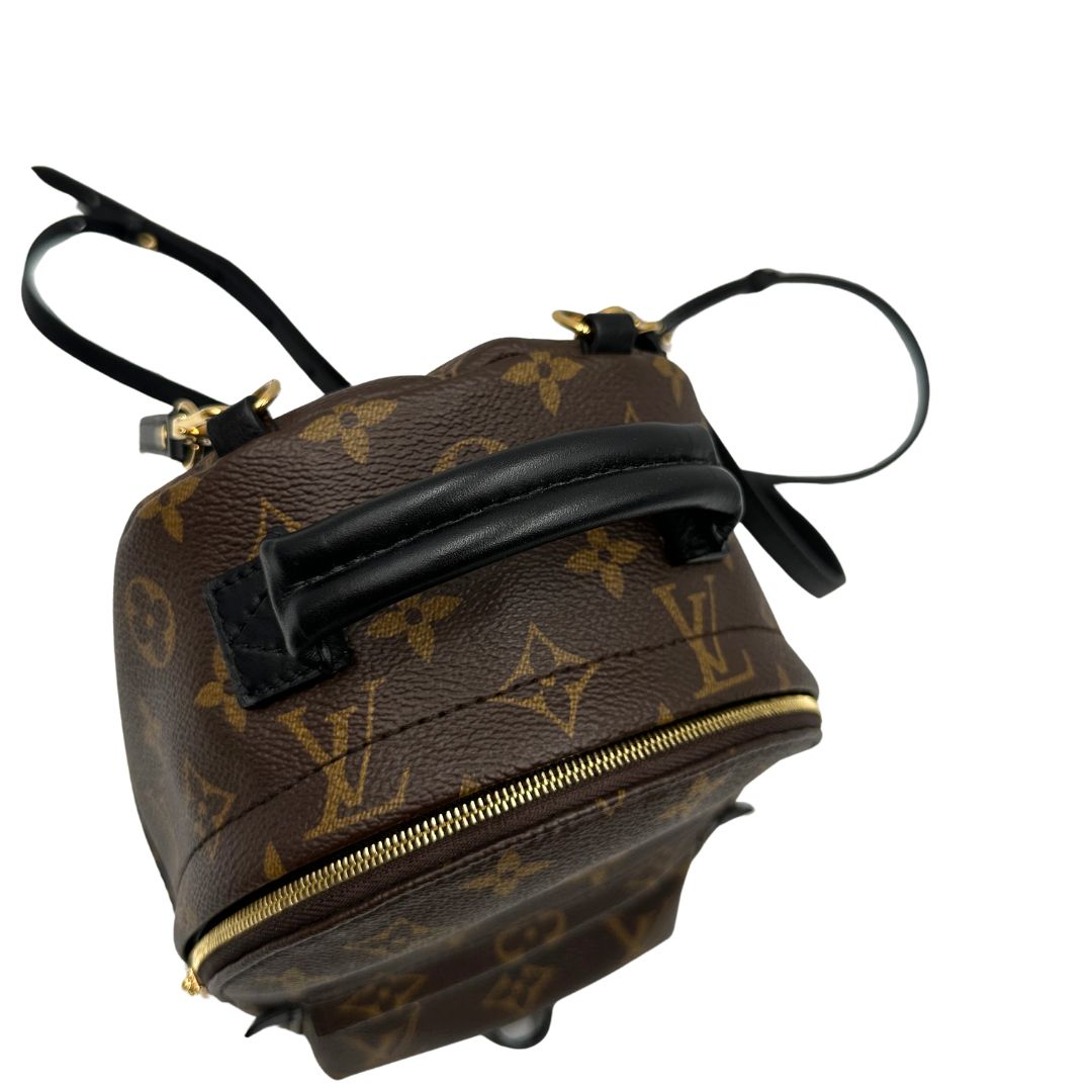 Zaino Palm Springs mini Louis Vuitton in pelle marrone
