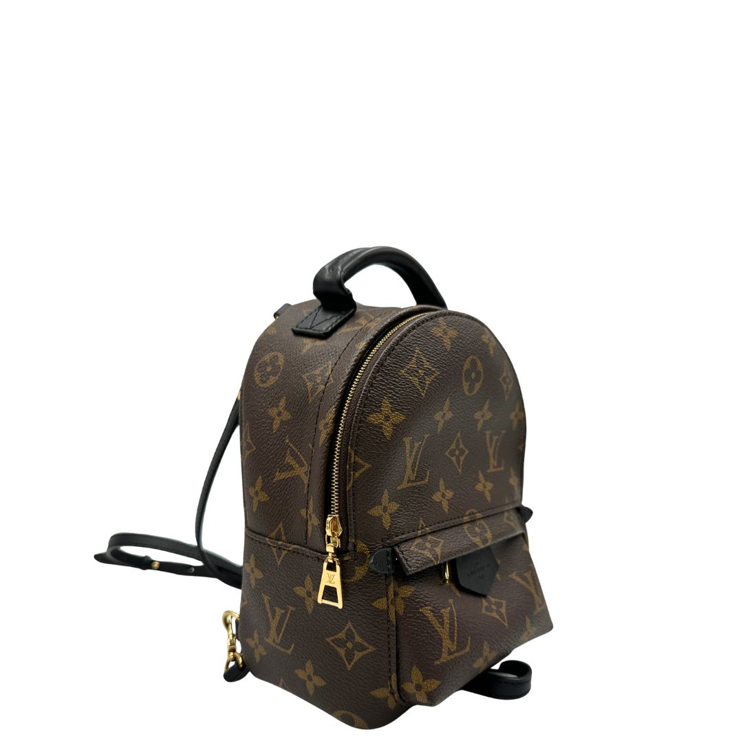 Zaino Palm Springs mini Louis Vuitton in pelle marrone