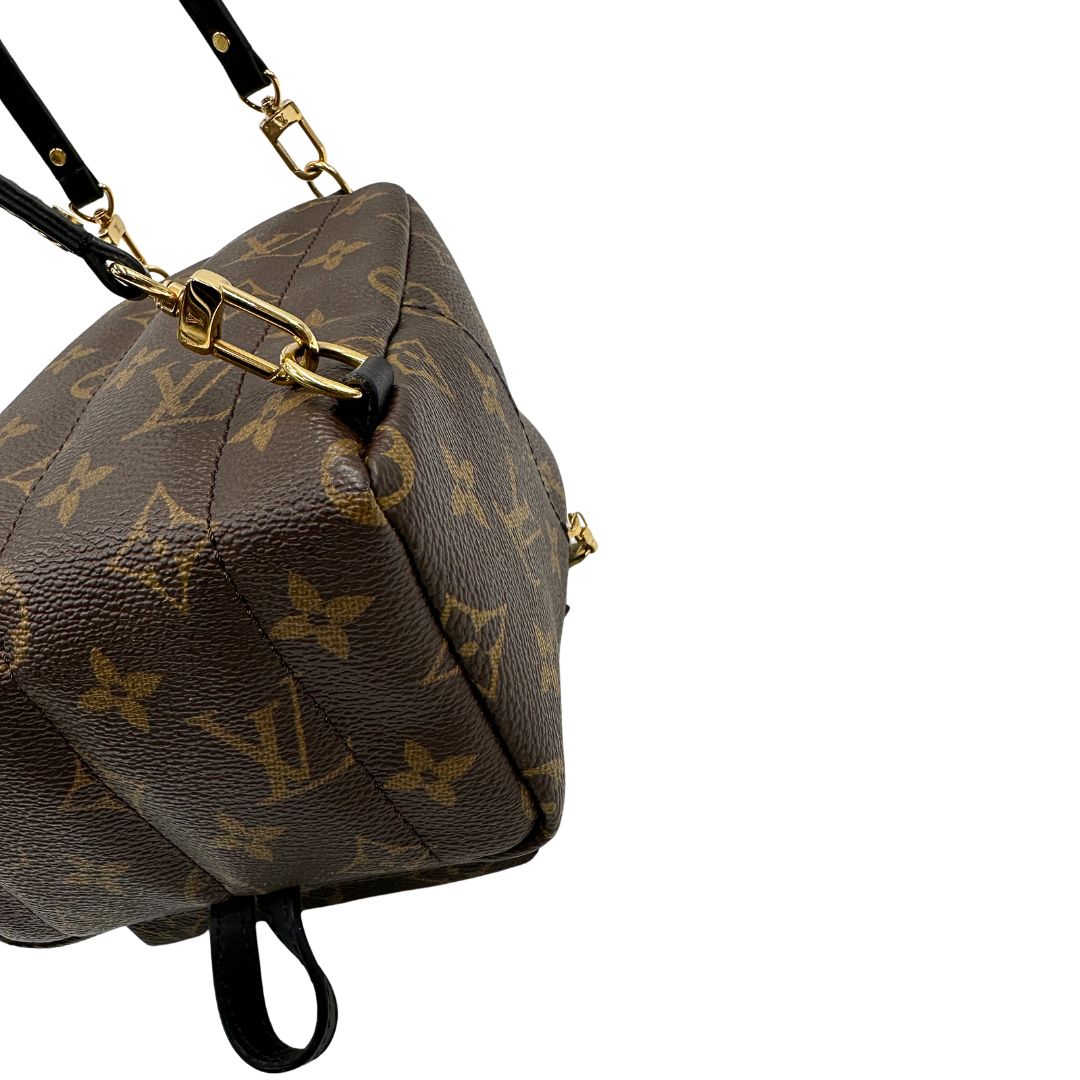 Zaino Palm Springs mini Louis Vuitton in pelle marrone