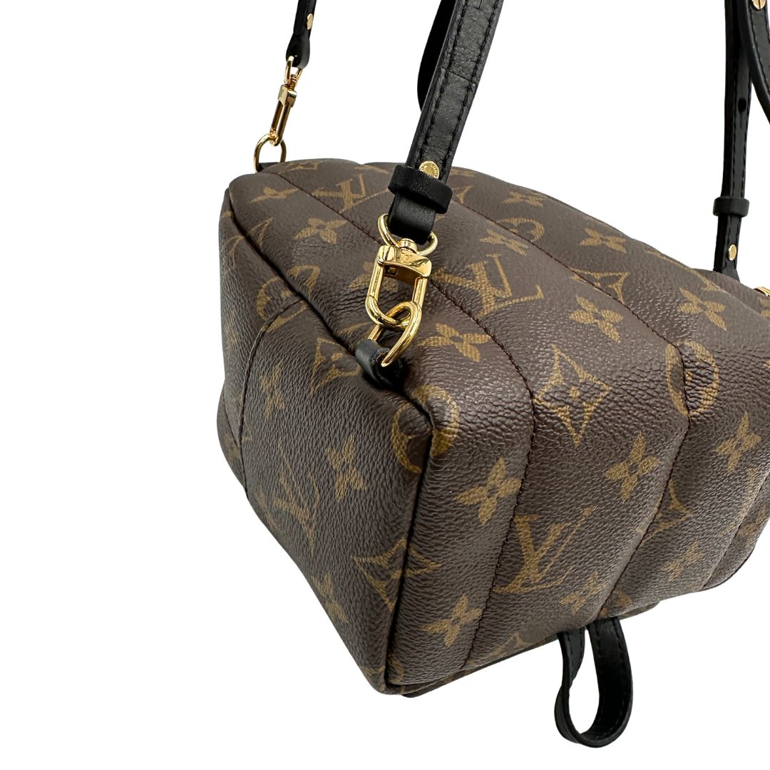 Zaino Palm Springs mini Louis Vuitton in pelle marrone