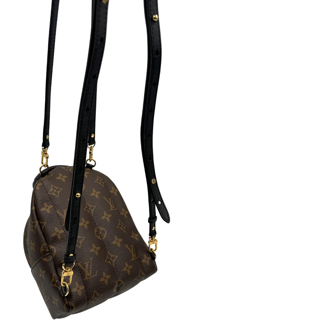 Zaino Palm Springs mini Louis Vuitton in pelle marrone