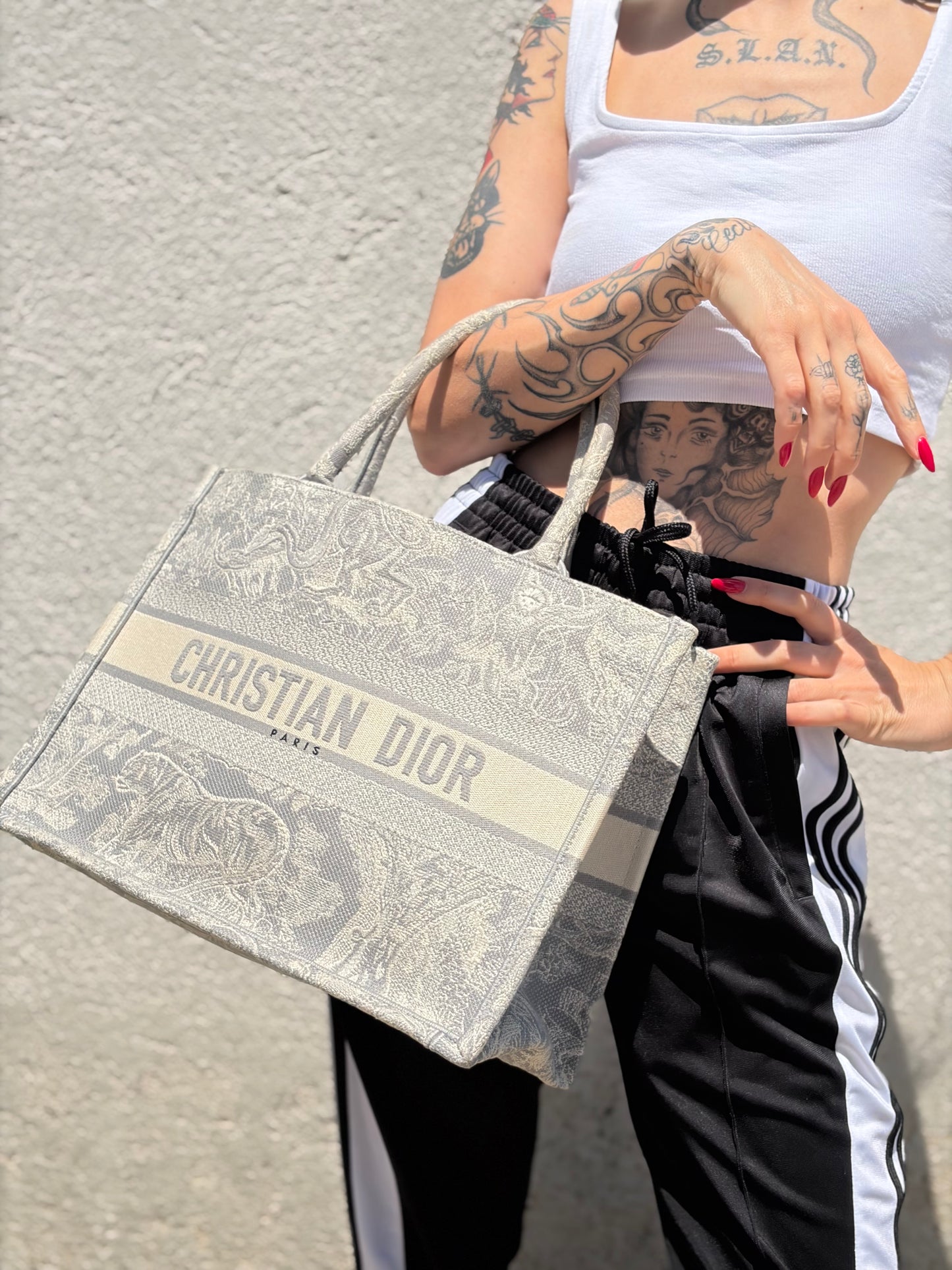 Borsa Christian Dior Book Tote media