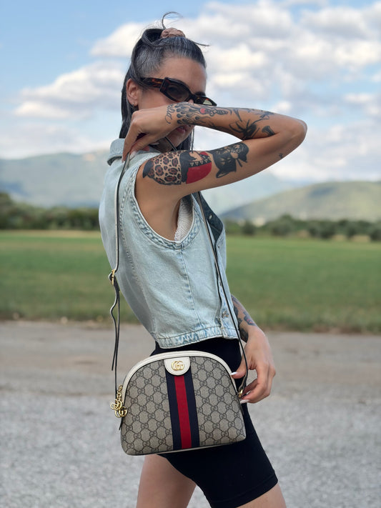 Borsa Gucci Ophidia Web