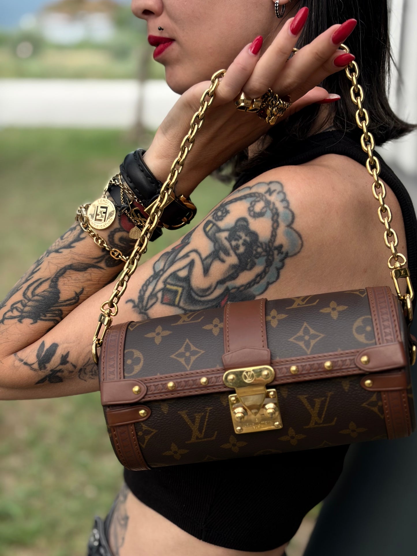 Papillon Trunk Louis Vuitton monogram