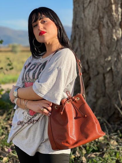 Secchiello Noè Epi PM Louis Vuitton