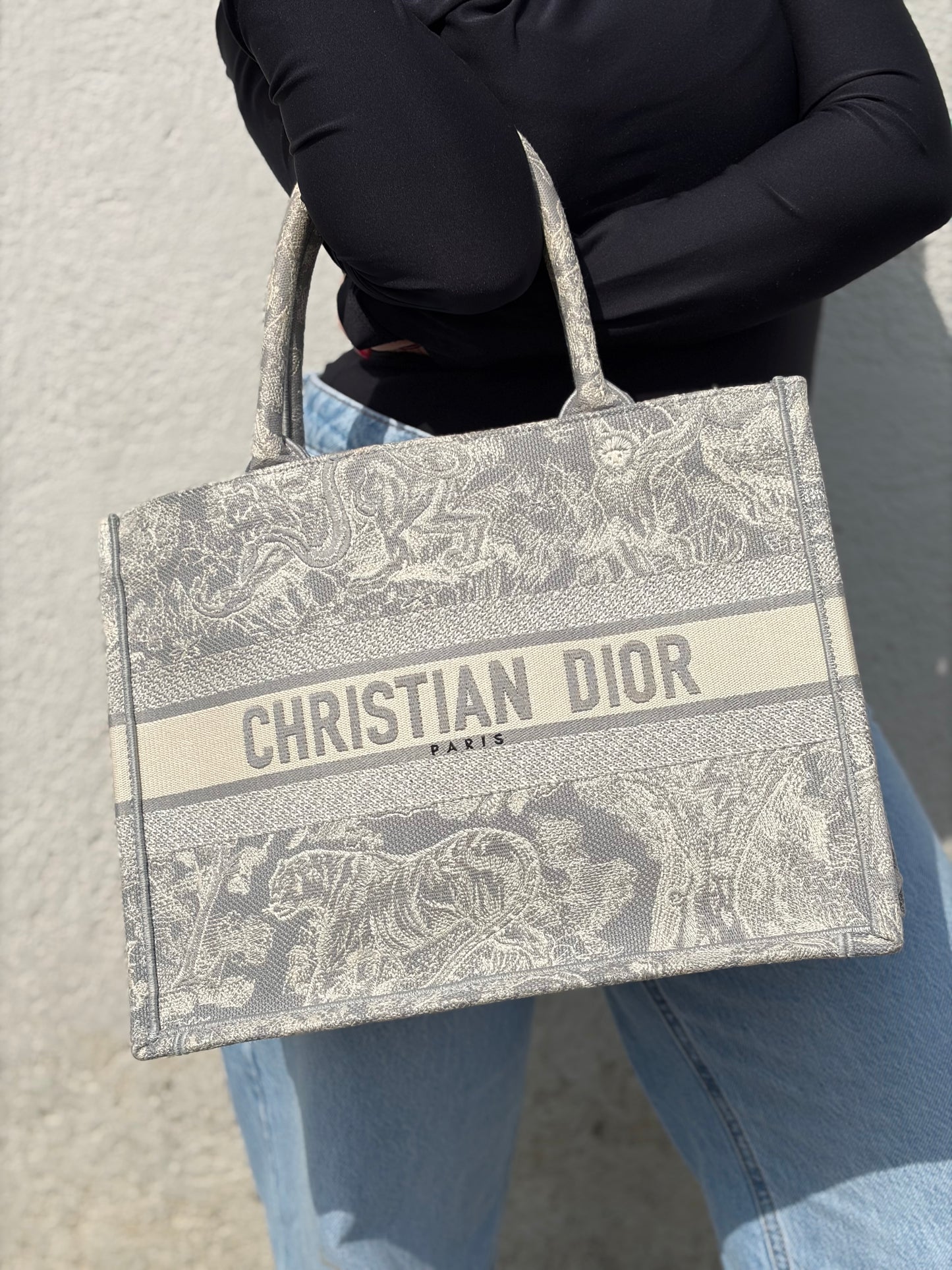 Borsa Christian Dior Book Tote media