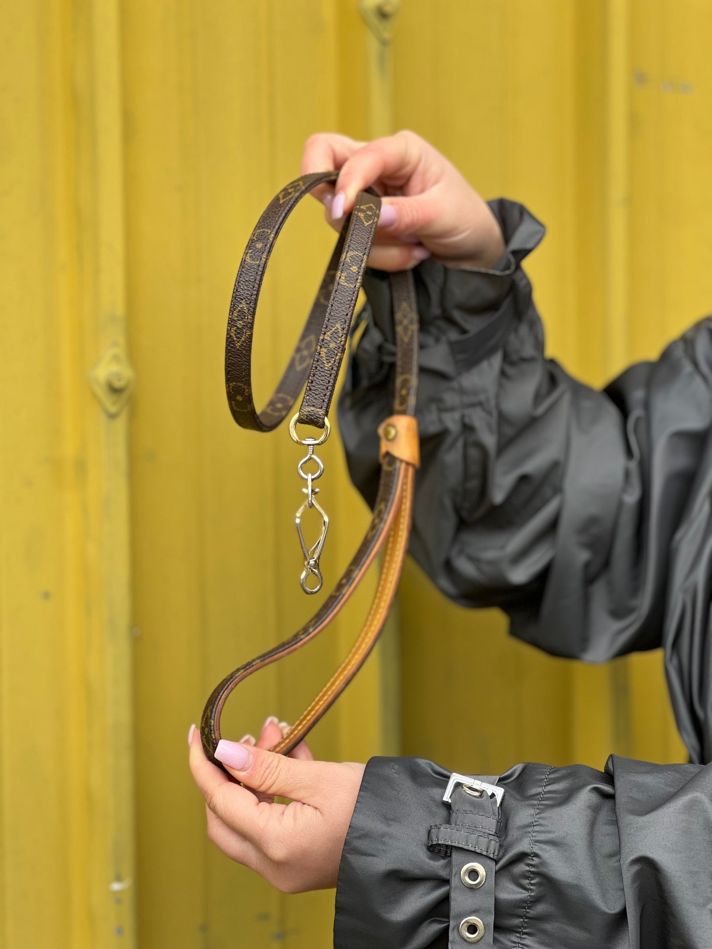 Guinzaglio Louis Vuitton