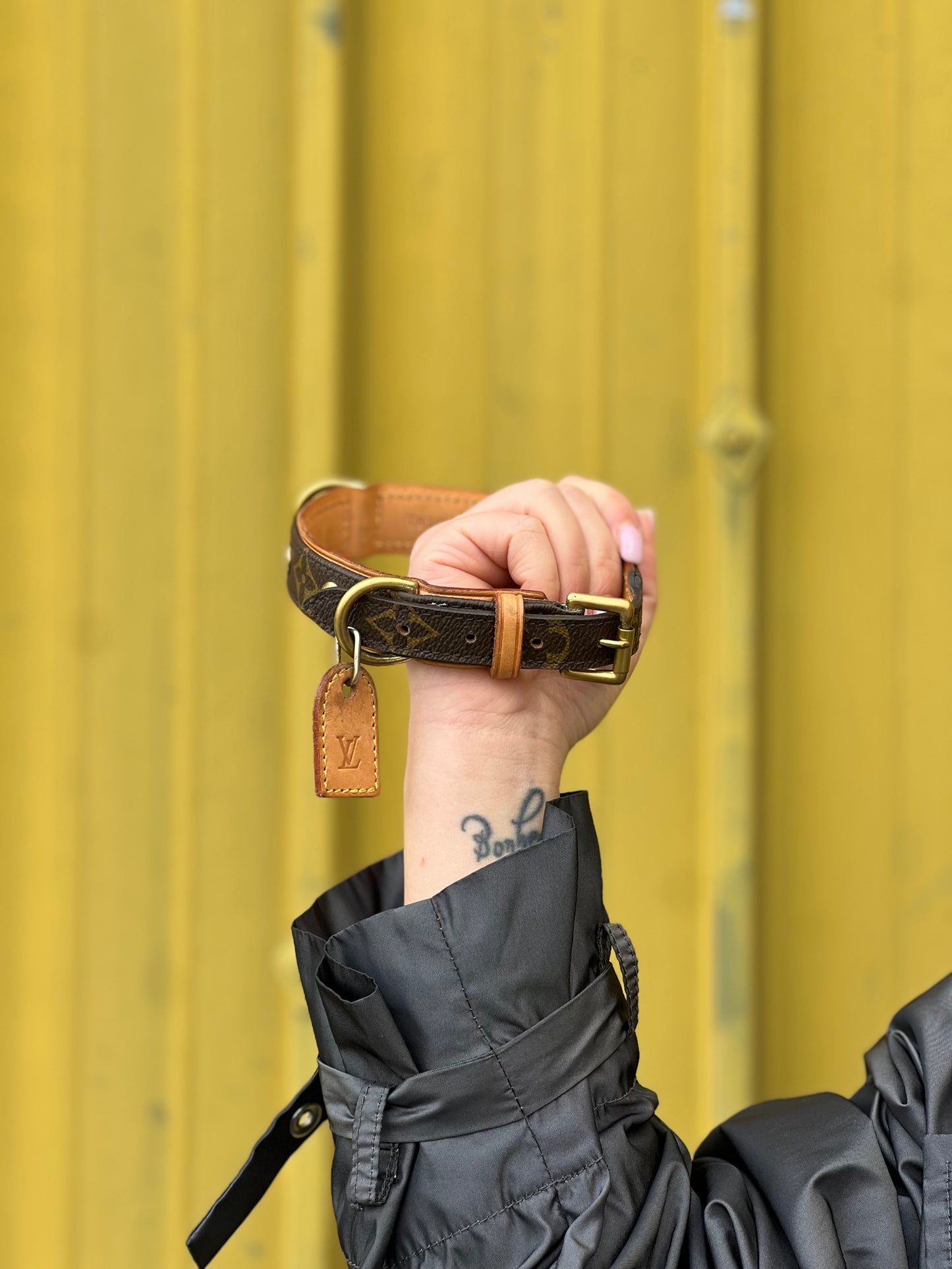 Collare Louis Vuitton