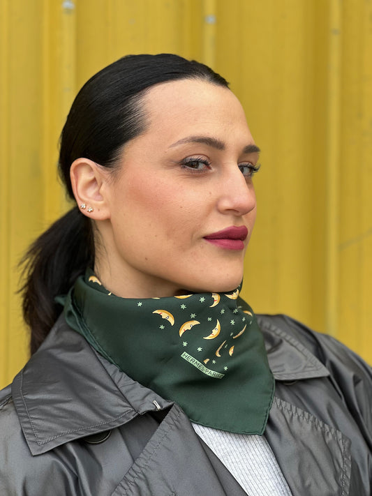 Gavroche 45 seta Hermès