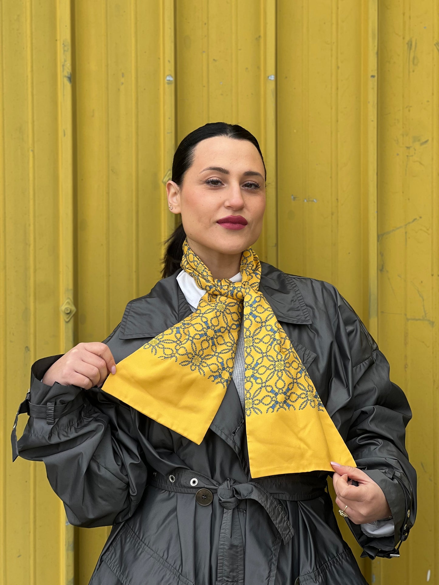 Hermès foulard