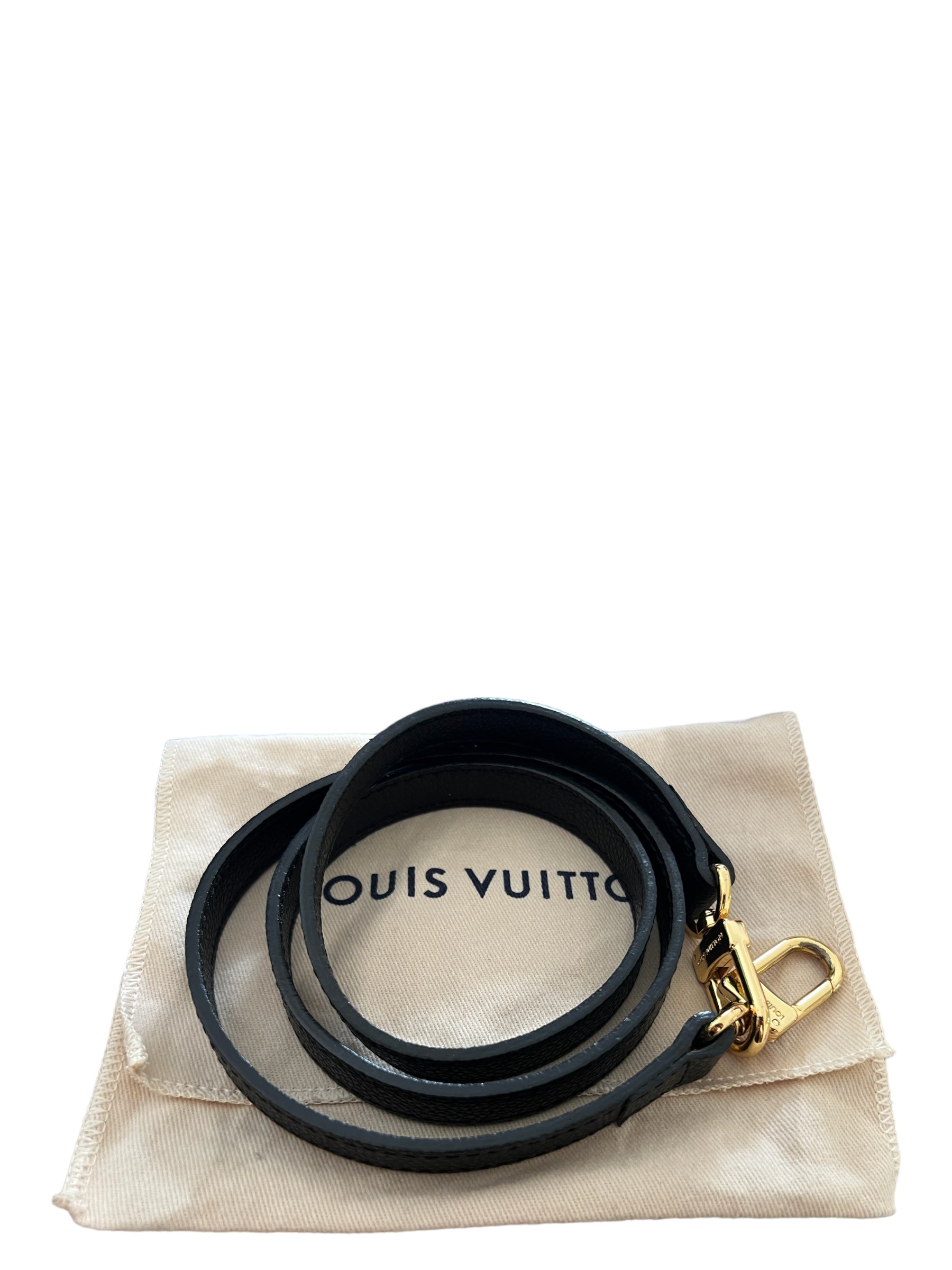 Tracolla amovibile Louis Vuitton monogram Marrone Tela ref.369790 - Joli  Closet