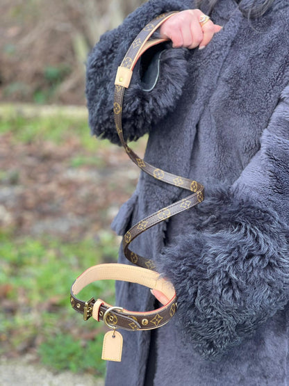 Collare e guinzaglio Louis Vuitton