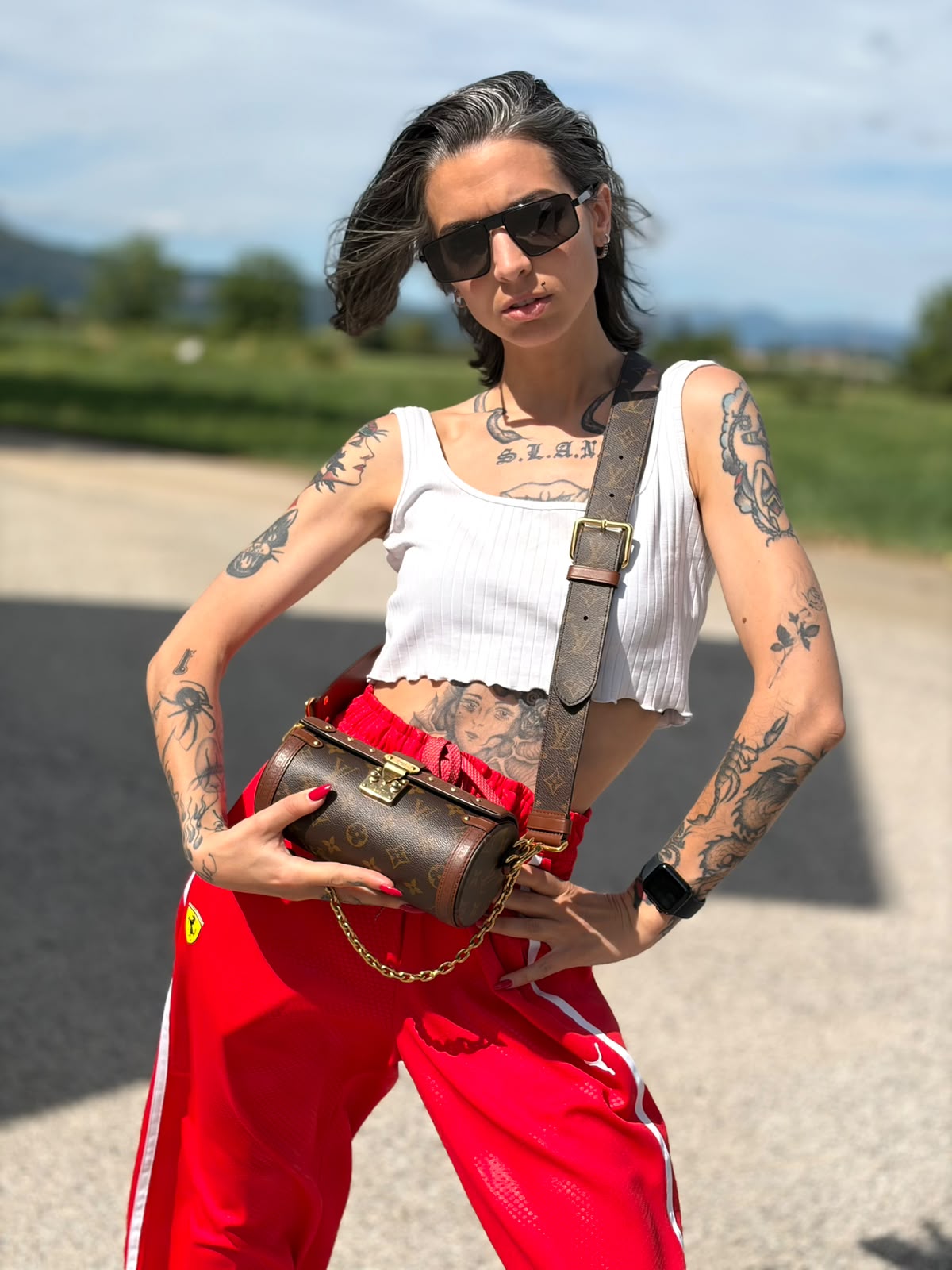 Papillon Trunk Louis Vuitton monogram