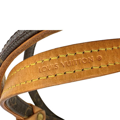 Guinzaglio Louis Vuitton