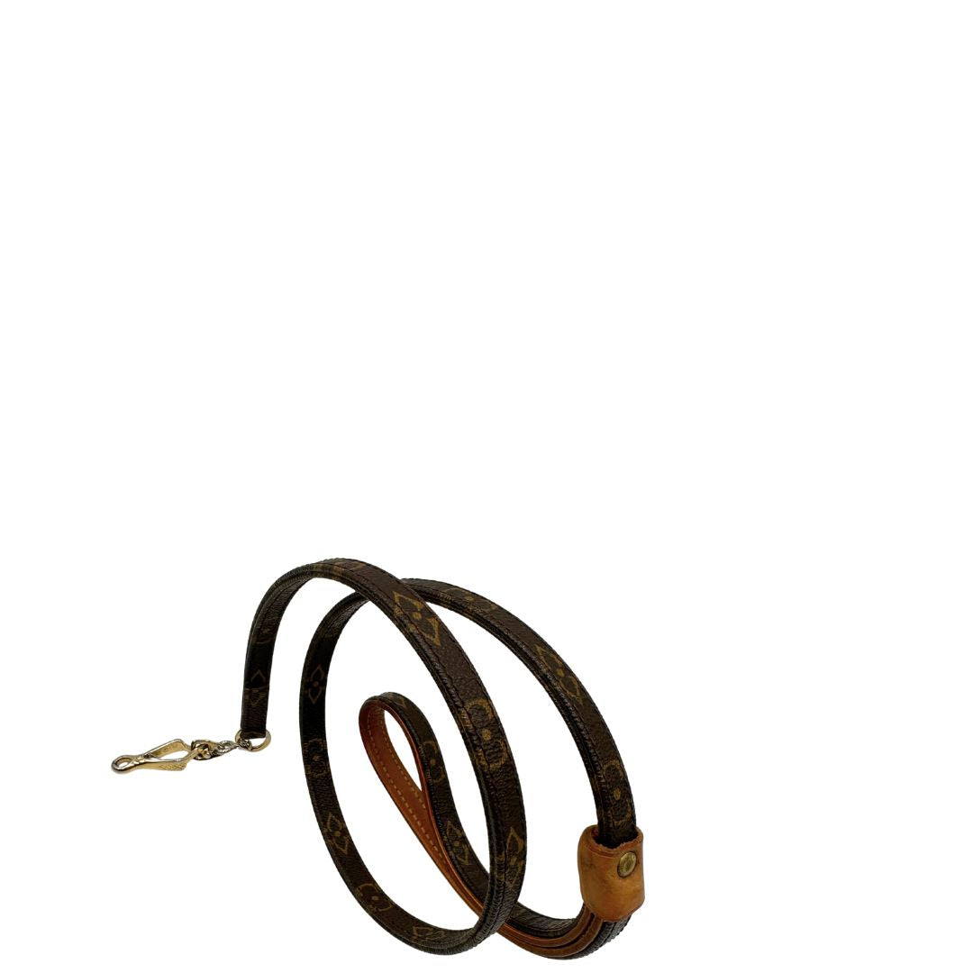 Guinzaglio Louis Vuitton