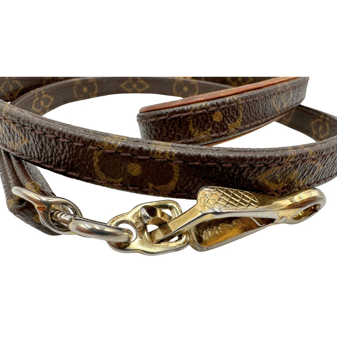 Guinzaglio Louis Vuitton