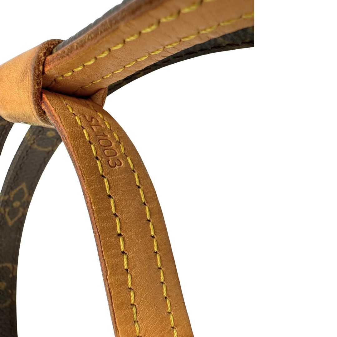 Guinzaglio Louis Vuitton