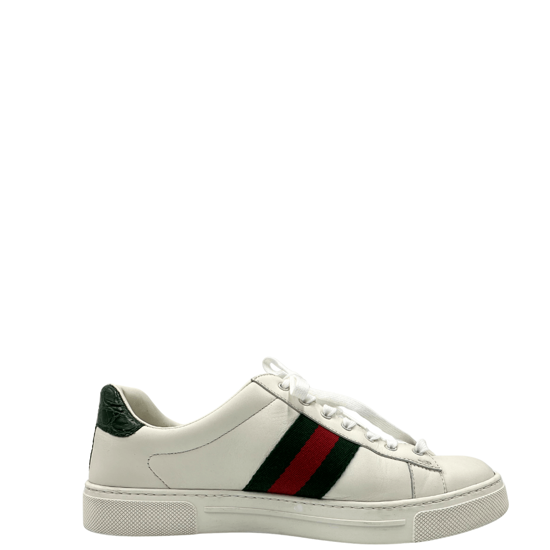 Sneakers Gucci n. 40