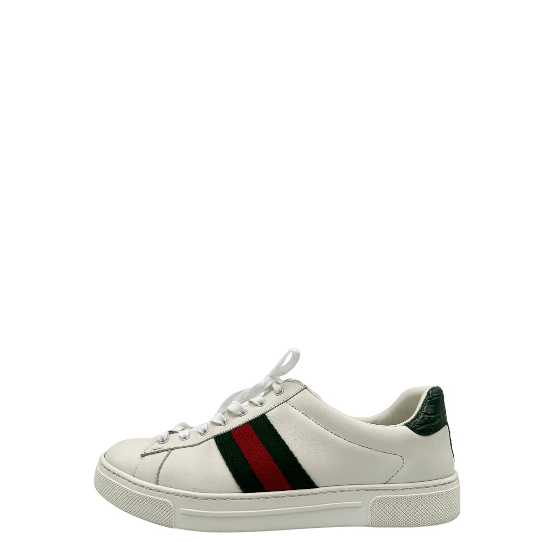 Sneakers Gucci n. 40