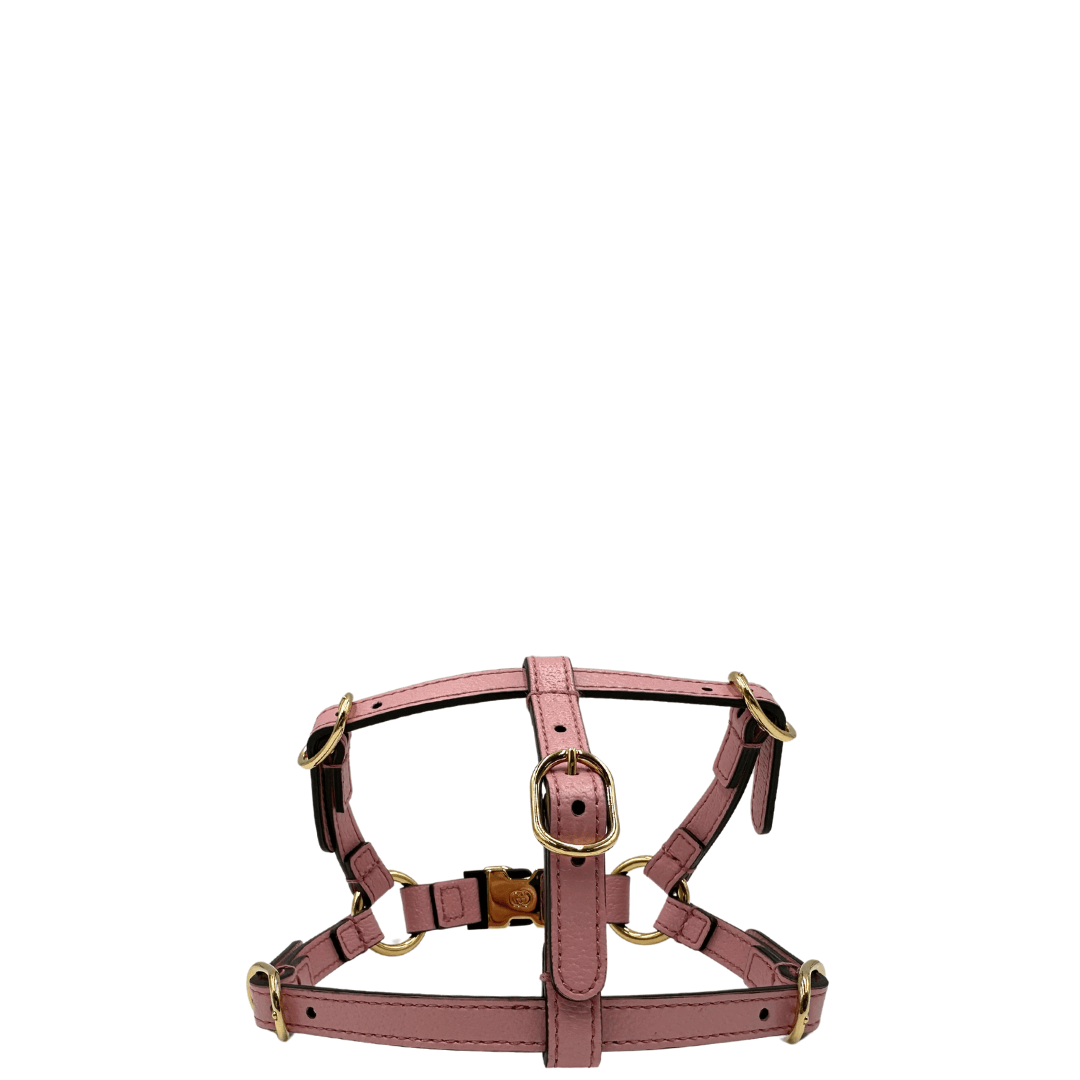 Pettorina Gucci per cani di piccola taglia- Accessorio per animali domestici originale, condizioni eccellenti. Harness dog xs