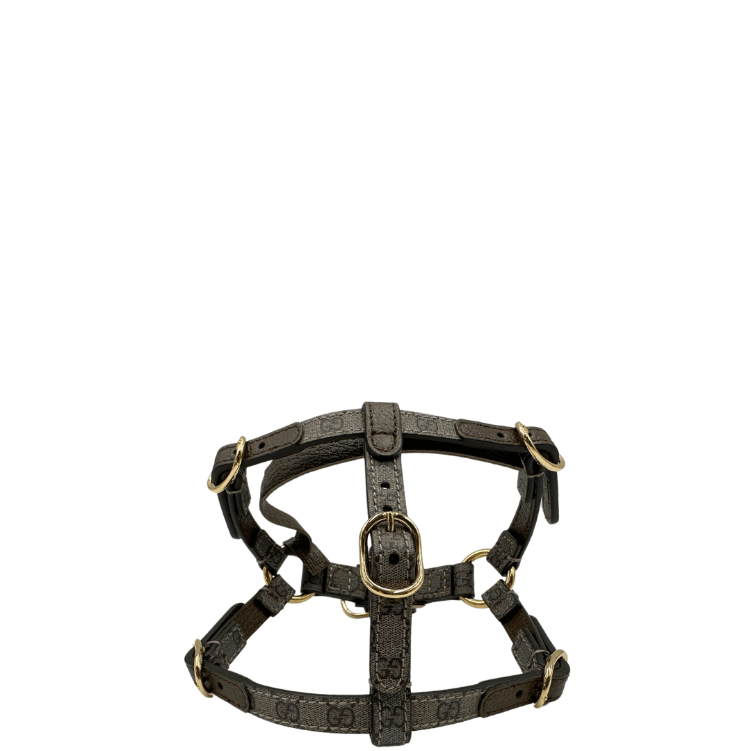 Pettorina Gucci taglia x per cani di piccola taglia. Harness xs originale, usata, condizioni eccellenti