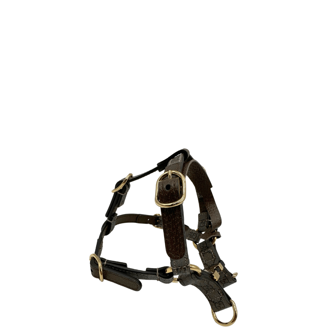 Pettorina Gucci taglia x per cani di piccola taglia. Harness xs originale, usata, condizioni eccellenti