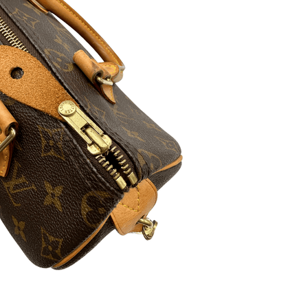 Speedy 25 Louis Vuitton